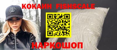 крисы Моздок