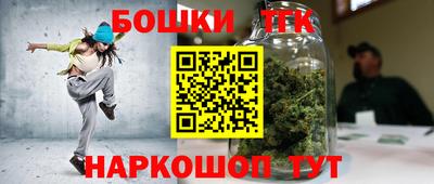 крисы Моздок