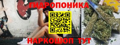 крисы Моздок