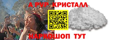 крисы Моздок