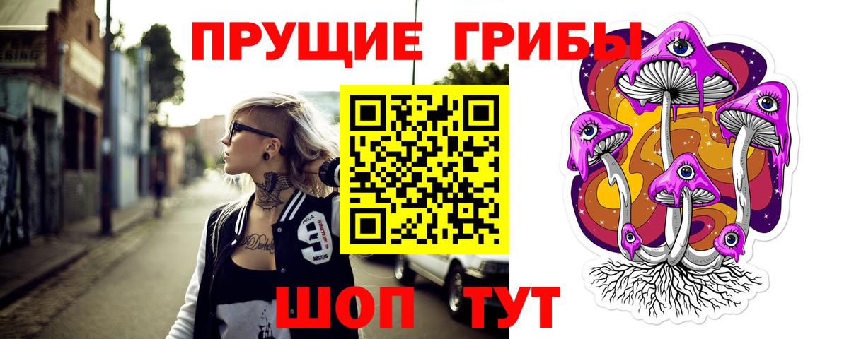 Псилоцибиновые грибы Psilocybe  Вход с VPN  Серпухов 